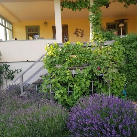 Ferienhaus Schiller วาเริน ภายนอก รูปภาพ