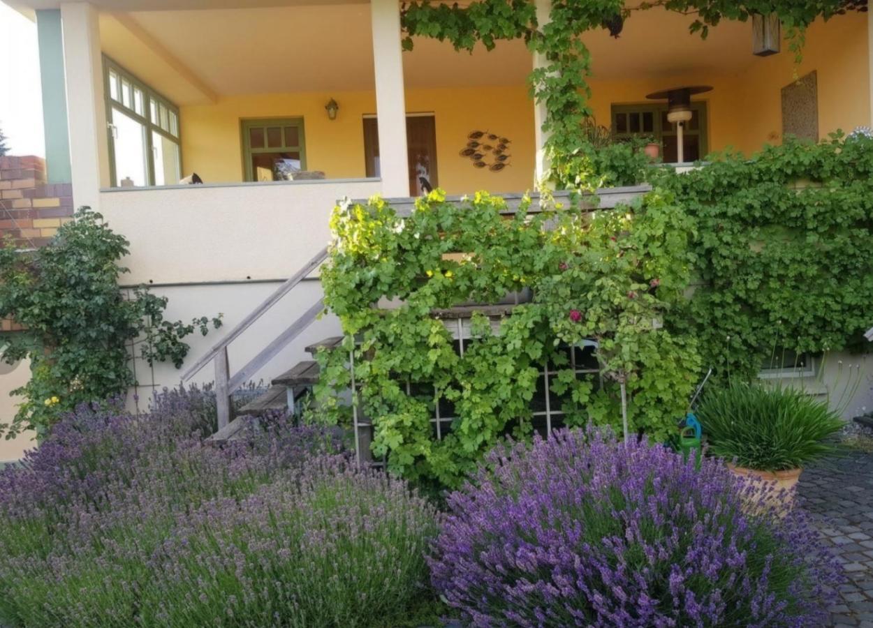 Ferienhaus Schiller วาเริน ภายนอก รูปภาพ